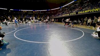 82 lbs Quarterfinal - Walker Hoffman, Downingtown vs Elijah Ferguson, Pine Richland