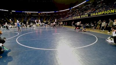 82 lbs Quarterfinal - Walker Hoffman, Downingtown vs Elijah Ferguson, Pine Richland