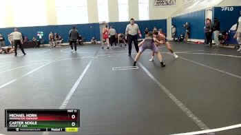138 lbs Champ. Round 2 - Carter Nogle, Mount St Joes vs Michael Horn, Washington Township