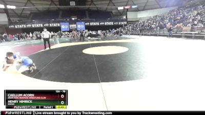 78 lbs Champ. Round 1 - Caellum Acorn, Deer Park Ironman Wrestling Club vs Henry Nimrick, NWWC