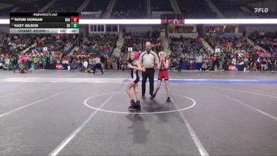 65 lbs Champ. Round 1 - Kazy Gilson, Spring Hill vs Tatum Horgan, Rossville