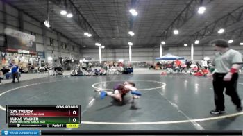 100 lbs Cons. Round 5 - Zay Tverdy, Wolverine Wrestling Club vs Lukas Walker, Mountain Home Junior High