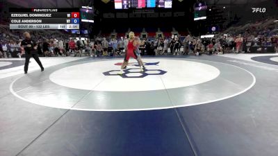132 lbs Champ. Rd Of 128 - Ezequiel Dominguez, WI vs Cole Anderson, WY