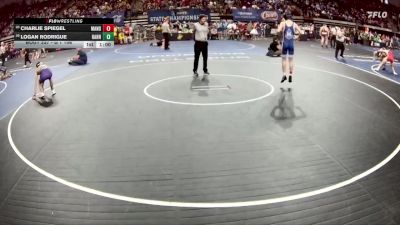 D 1 106 lbs Cons. Round 1 - Charlie Spiegel, Mandeville vs Logan Rodrigue, Hahnville