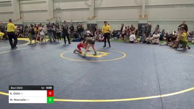85-J lbs Final - Aiden Dalie, WI vs Marcarlo Mannello, NY