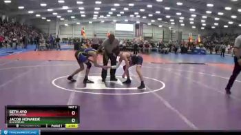 106 lbs Quarterfinal - Seth Ayo, Spotsylvania vs Jacob Honaker, Blacksburg
