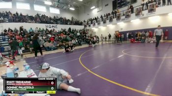 98 lbs Champ. Round 1 - Ryatt Trehearne, Shoshoni Junior High School vs Dominic Palazzolo, Lander Middle School