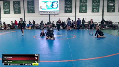 69-74 lbs Quarterfinal - Dominic Boblak, Demolition vs Nora Rauen, Force Elite