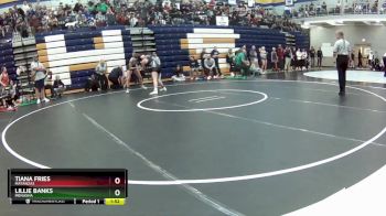 135 lbs. Semifinal - Lillie Banks, Menasha vs Tiana Fries, Matanzas