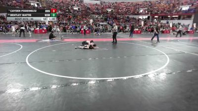 95 lbs Quarterfinal - Cayden Podeweltz, Weyauwega-Fremont vs Bentley Mattie, West Salem Bangor Wrestling