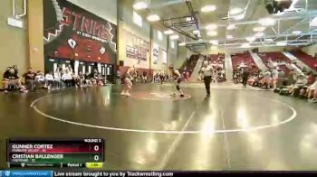 138 lbs Round 2 (10 Team) - Gunner Cortez, Pahrump Valley vs Cristian Ballenger, Cheyenne