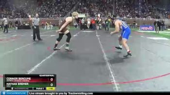 D1-189 lbs Quarterfinal - Connor Bercume, Detroit Catholic Central vs Nathan Bremer, Holt