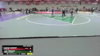 141 lbs Cons. Round 4 - Austin Gabbert, Augsburg vs Jake Penzato, Aurora Universtiy