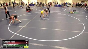 114 lbs Cons. Round 5 - Garrison Dierks, Minnesota vs Keegan Hammarsten, Waconia Wrestling Club