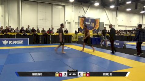 PEDRO JR. vs MARLON C. 2025 World IBJJF Jiu-Jitsu No-Gi Championship