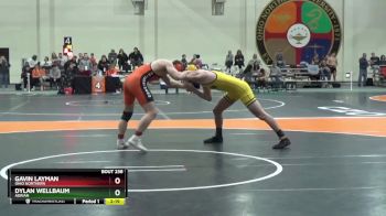 184 lbs Semifinal - Gavin Layman, Ohio Northern vs Dylan Wellbaum, Adrian