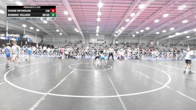 75 lbs Rr Rnd 2 - Chase Reynolds, CTWHALE vs Dominic Velardi, Ruthless Black