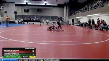 95 lbs Quarterfinals (8 Team) - Andrew Sandau, NLS (New London/Spicer) vs Bryan Jacobson, Kenyon-Wanamingo