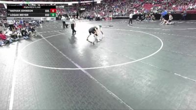 D2-138 lbs Cons. Round 1 - Logan Meyer, Osceola vs Nathan Johnson, Dodgeville