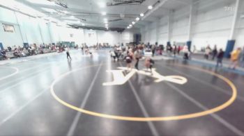 133 lbs Cons. Round 3 - Marquez Thomas, Albright College vs Devin Strothers, Elmira College