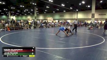 126 lbs Round 2 (10 Team) - Kaileia Villavicencio, Wrestling University vs Jacob Pellecer, Wellington - Dev