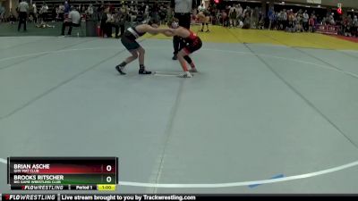 95 lbs Quarterfinal - Brooks Ritscher, Big Game Wrestling Club vs Brian Asche, GHV Mat Club