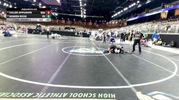 157 lbs Cons. Round 4 - Cullen Applegate, Woodward Academy vs Ronden Ricks, Flagler Palm Coast