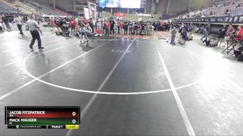 113 lbs Semifinal - Mack Mauger, ID vs Jacob Fitzpatrick, MN