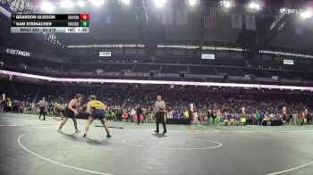 D1-215 lbs Quarterfinal - Sam Steinacker, Grand Ledge vs Brandon Glisson, Davison