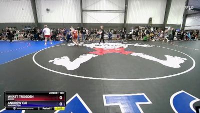 138 lbs Quarterfinal - Wyatt Trogden, NWWC vs Andrew Cai, Washington