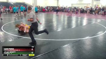 106 lbs Round 1 (10 Team) - Atlee Dewitt, Alburnett vs Juan Perez, Miramar Wrestling Club