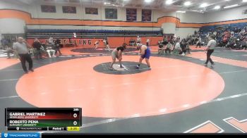 285 lbs Champ. Round 1 - Roberto Pena, Elmhurst University vs Gabriel Martinez, Heidelberg University