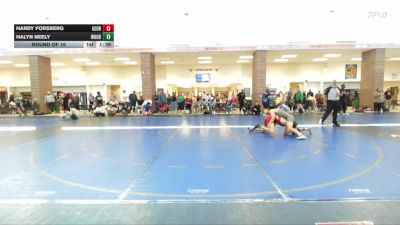 126 lbs Round Of 16 - Hardy Forsberg, Georgia vs Halyn Neely, Woodland Wrestling