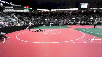 90 lbs Champ. Round 3 - Aj Bechlem, WSW1 vs Cole Palma, NBHA