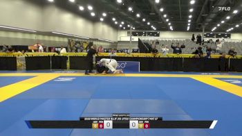 John Clayton Rogers vs Michael Thomas Lee 2026 World Master IBJJF Jiu-Jitsu Championship