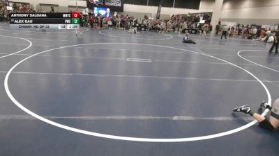 132 lbs Champ. Rd Of 32 - Anthony Saldana, MTC - MANTANONA TRAINING CENTER vs Alex Gau, Pinnacle Wrestling Club