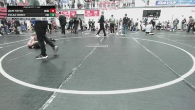 110 lbs Semifinal - Liam Hayes, Rolling Meadows Wrestling Club vs Rylan Henry, Brushy Wrestling Club