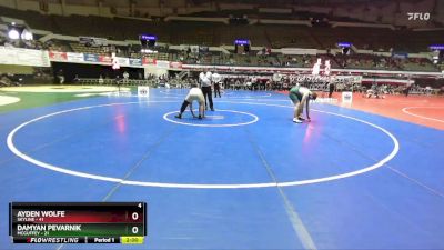 215 lbs Champ Round 1 (16 Team) - Ayden Wolfe, Skyline vs Damyan Pevarnik, McGuffey