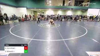 95 lbs Quarterfinal - Kepler Carmichael, IA vs Cole Schwartz, PA