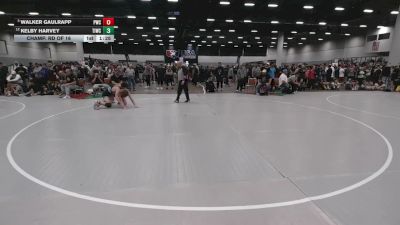 138 lbs Champ. Rd Of 16 - Walker Gaulrapp, Pinnacle Wrestling Club vs Kelby Harvey, Team Idaho Wrestling Club