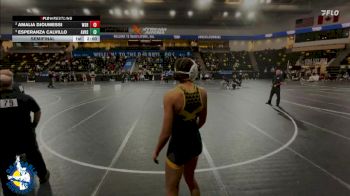 170 lbs Semifinal - Esperanza Calvillo, Apple Valley vs Amalia Djoumessi, Waverly-Shell Rock