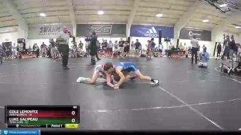 85 lbs Round 2 (6 Team) - Cole Lemovitz, Mayo Quanchi vs Luke Galipeau, Team Alien