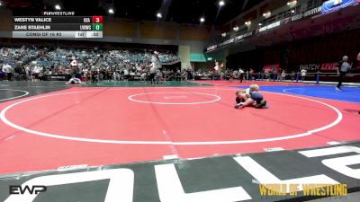 64 lbs Consi Of 16 #2 - Westyn Valice, USA Gold vs Zane Staehlin, LV Bear Wrestling Club
