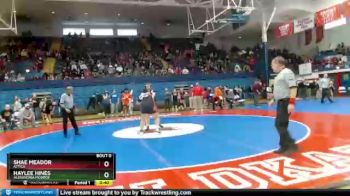 250 lbs Cons. Round 1 - Shae Meador, Attica vs Haylee Hines, Alexandria Monroe