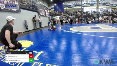 46-49 lbs Final - Hunter Larsen, Blue Devil Wrestling vs Mason Shumaker, Mustang Bronco Wrestling Club