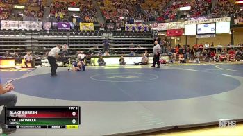 132 lbs Quarterfinal - Cullen Wikle, Sabetha vs Blake Buresh, Phillipsburg