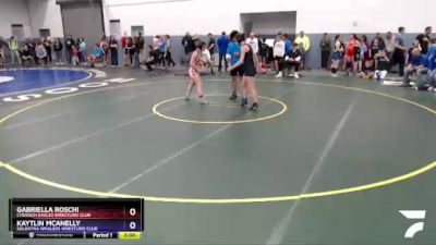 132 lbs Round 2 - Gabriella Roschi, Chugach Eagles Wrestling Club vs Kaytlin McAnelly, Soldotna Whalers Wrestling Club