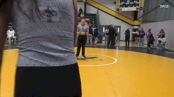 115 lbs Quarterfinal - Stella Houselog, Dubuque Hempstead vs Leamsi Sanchez, Newton