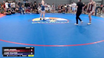 175 lbs Cons. Round 4 - James Amadeo, FordDynastyWrestlingClub vs Caden Sullivan, Thurston County Wrestling Club