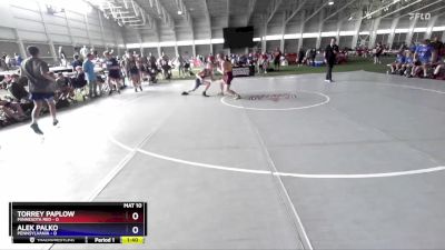 144 lbs Quarterfinals (8 Team) - Torrey Paplow, Minnesota Red vs Alek Palko, Pennsylvania